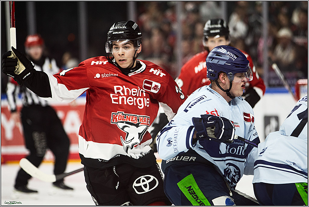 PENNY DEL; Koelner Haie- Straubing Tigers; Koeln, 15.12.2023